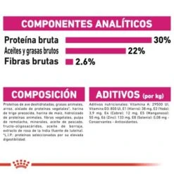 Royal Canin Mini Exigent 11 Royal Canin Mini Exigent -Mascotas Artículos Tienda rc ccn exigentmini cv eretailkit 8 es es 4