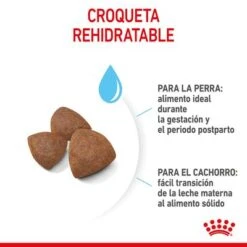 Royal Canin Medium Starter 15 Royal Canin Medium Starter -Mascotas Artículos Tienda rc spt dry mediumstart cv 4 es es 7
