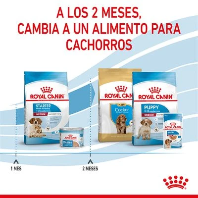 Royal Canin Medium Starter 10 Royal Canin Medium Starter - Imagen 10