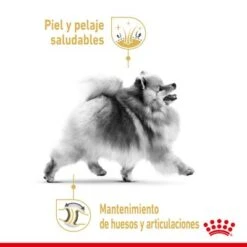 Royal Canin Breed Pomerania Adult -Mascotas Artículos Tienda rc spt dry pomad cv 1 es es 1