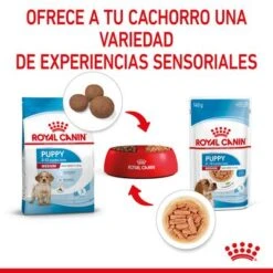 Royal Canin Medium Puppy En Salsa Para Perros -Mascotas Artículos Tienda rc spt wet mediumpuppy cv 4 es es 1