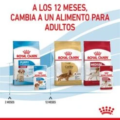 Royal Canin Medium Puppy En Salsa Para Perros -Mascotas Artículos Tienda rc spt wet mediumpuppy cv 8 es es 9