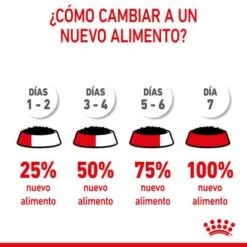 Royal Canin Medium Puppy En Salsa Para Perros -Mascotas Artículos Tienda rc spt wet mediumpuppy cv 9 es es 1