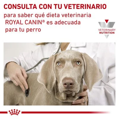 Royal Canin Veterinary Canine Anallergenic Pienso Para Perros 6 Royal Canin Veterinary Canine Anallergenic Pienso Para Perros - Imagen 6