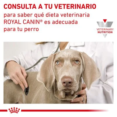 Royal Canin Veterinary Canine Hepatic HF 16 Pienso Para Perros 8 Royal Canin Veterinary Canine Hepatic HF 16 Pienso Para Perros - Imagen 8
