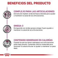 Royal Canin Veterinary Canine Mobility Support Pienso Para Perros -Mascotas Artículos Tienda rc vet dry dogmob cv eretailkit 4 es es 1