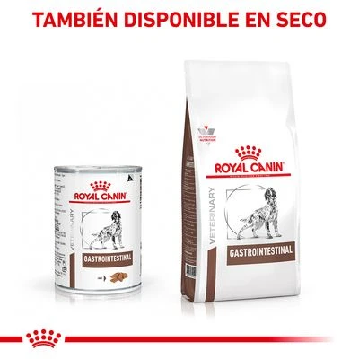 Royal Canin Veterinary Canine Gastrointestinal Mousse 5 Royal Canin Veterinary Canine Gastrointestinal Mousse - Imagen 5