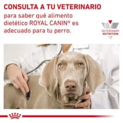 Royal Canin Veterinary Canine Gastrointestinal Low Fat Pienso Para Perros -Mascotas Artículos Tienda rc vhn gastrointestinallowfatdog cv eretailkit 9 es es pdf 0