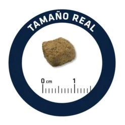 Advance Diabetes Veterinary Diets Pienso Para Perros -Mascotas Artículos Tienda u02 surfnjixotjfuefsveldvuxbx0vtlmpwzw 1521571210872 1