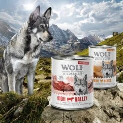 Wolf Of Wilderness Free Range 6 X 400 G / 800 G - Pack De Prueba 25 Wolf Of Wilderness Free Range 6 X 400 G / 800 G - Pack De Prueba -Mascotas Artículos Tienda zop 21 048 wow nafu 800g 400g 1000x1000 2 9